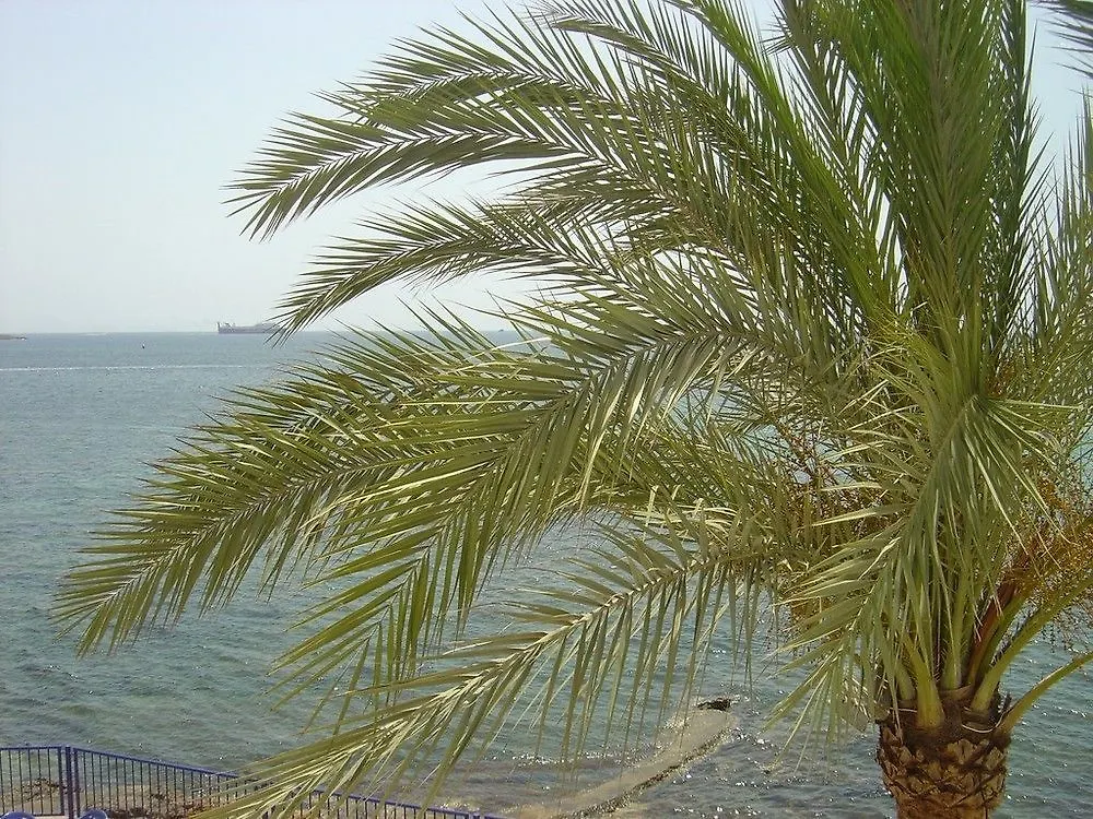 Apartamentos Llevant Ίμπιζα Πόλη
